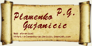 Plamenko Gujaničić vizit kartica
